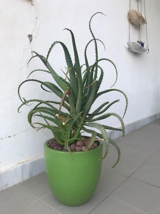 Apartamento Vistas Cerro Negro Almería Exterior foto